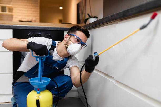 Best Emergency Pest Control  in Deland, FL