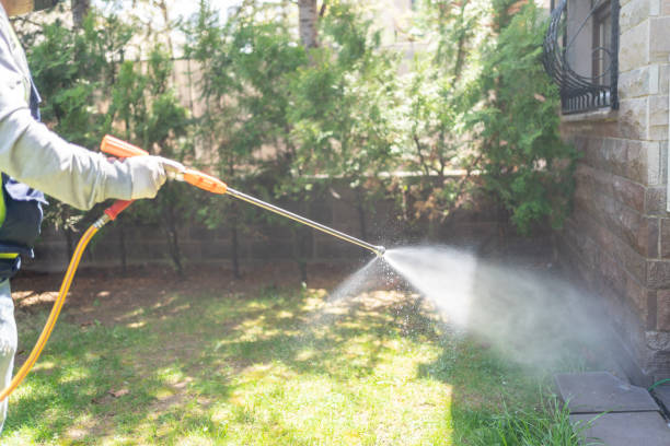 Best Termite Control Services  in Deland, FL