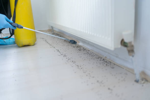Best Best Pest Control Companies  in Deland, FL