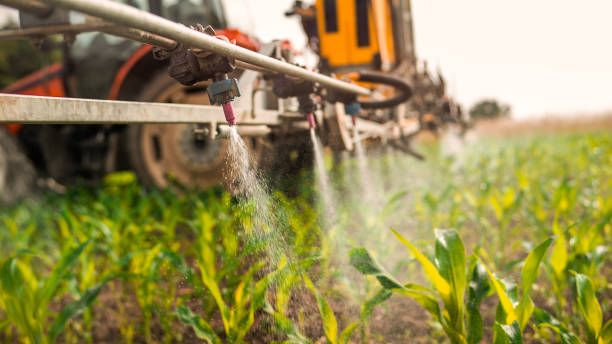 Reliable Deland, FL Pest Control Solutions